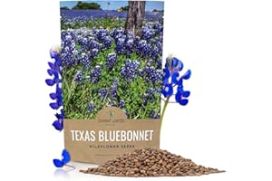 SWEET YARDS Texas Bluebonnet Wildflower Seeds - Bulk 1/4 Pound Bag - Over 4,000 Native Seeds - Texas State Flower!