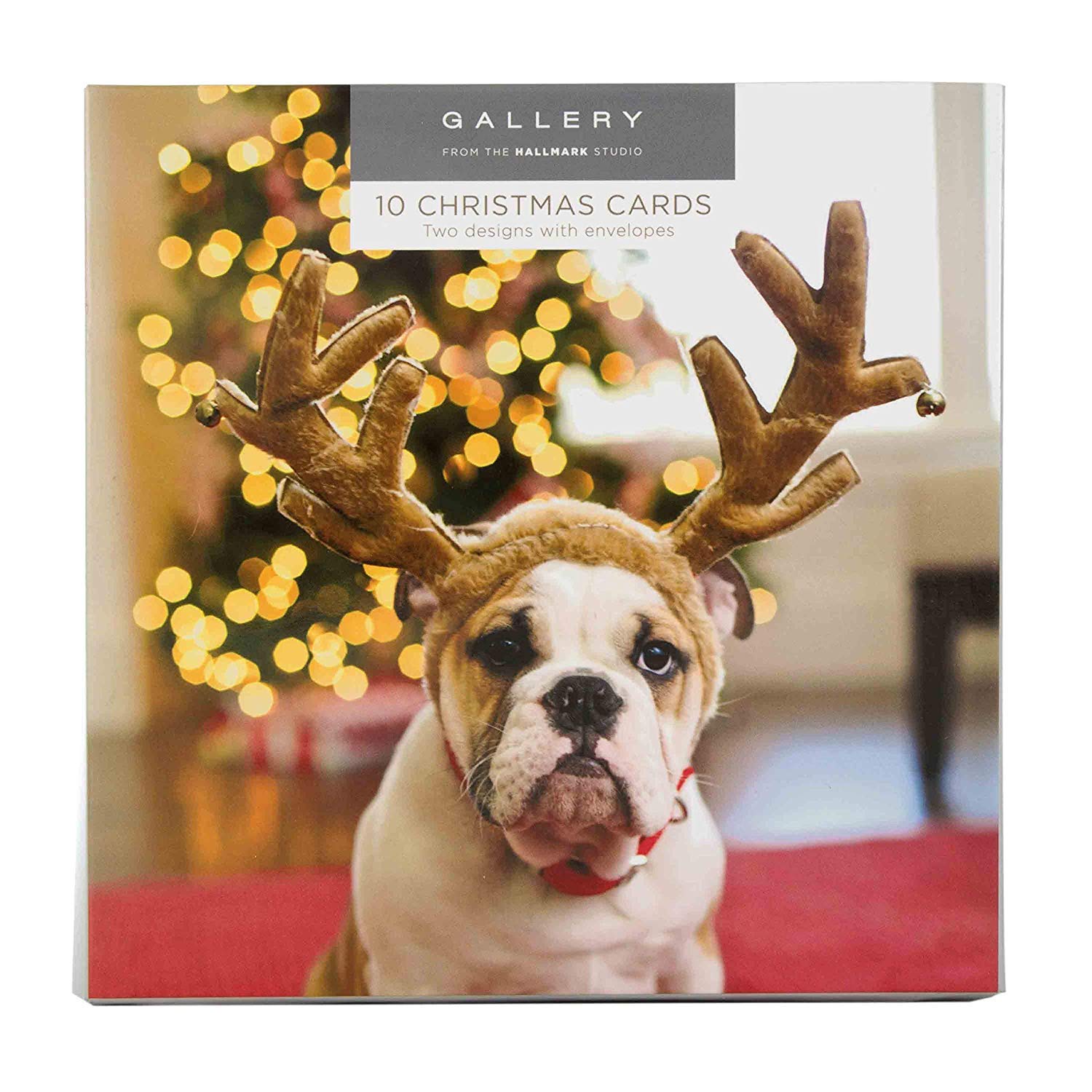 Hallmark Gallery Christmas Cards - 10 Cards in 2 Cat and Dog Designs