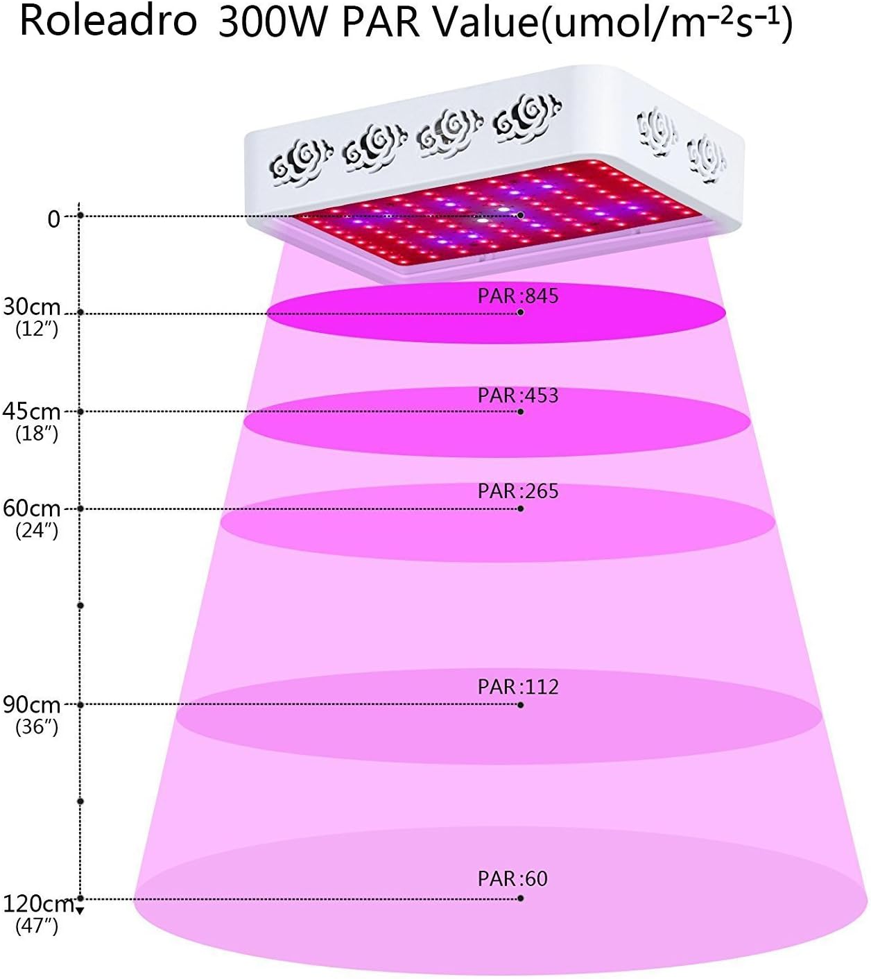711lDGD9biL._AC_SL1500_.jpg
