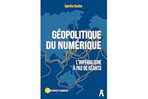 Géopolitique du numérique (French Edition)