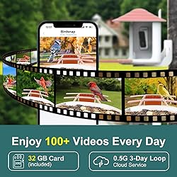 birdsnap® TUC- Smart Bird Feeder with Camera+Solar