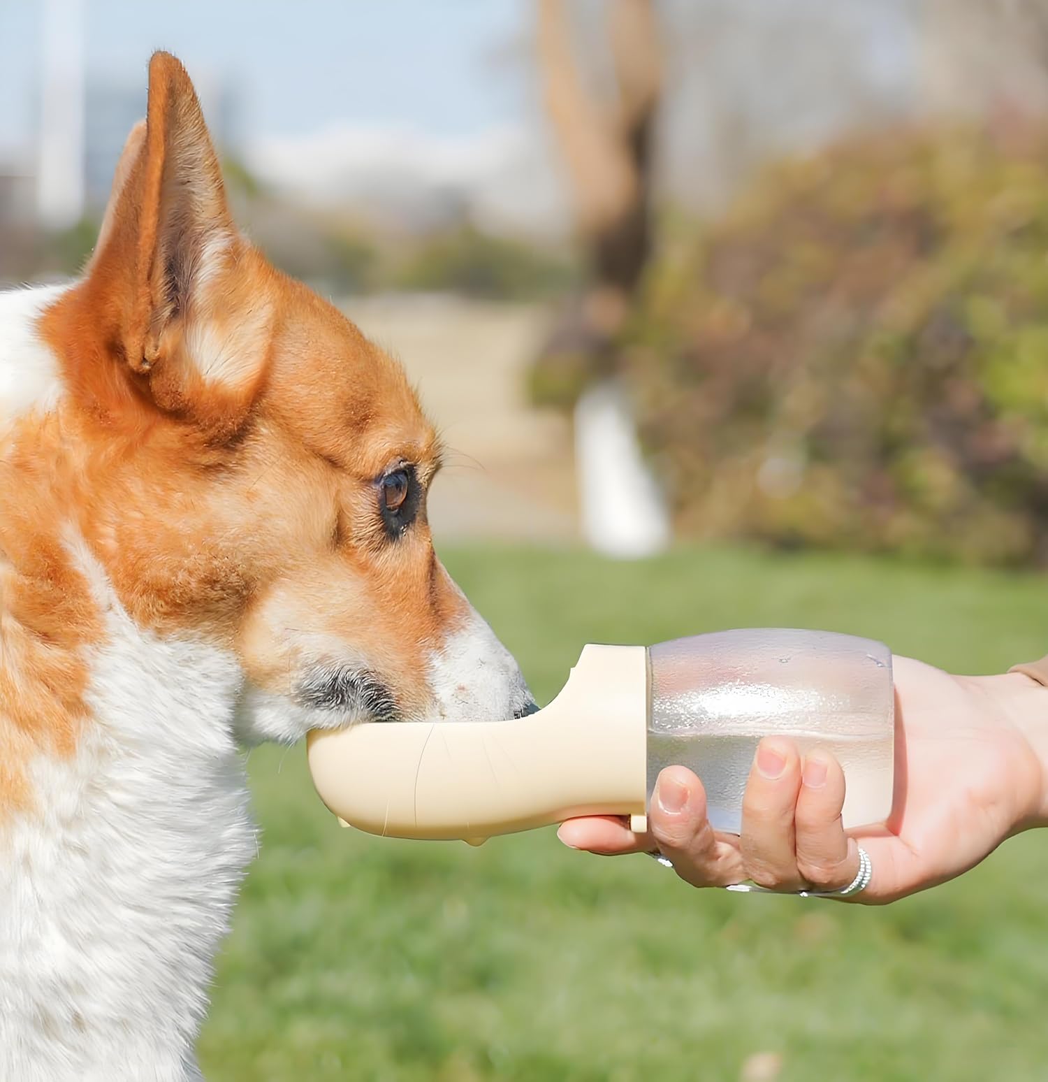 Photo 1 of 10oz Leak-Proof Dog Water Bottle with Big Trough & Reusable Water Feature – Perfect for Hiking, Travel, and Outdoor Adventures.