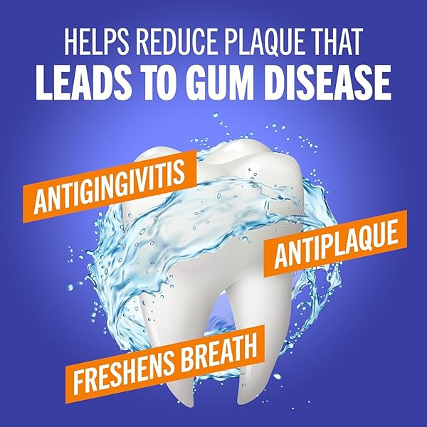 THERABREATH, HEALTHY GUMS CLEAN MINT ORAL RINSE, 16 OUNCE