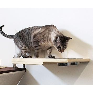 Buy Catastrophicreations Cat Dining Table Handcrafted Wall