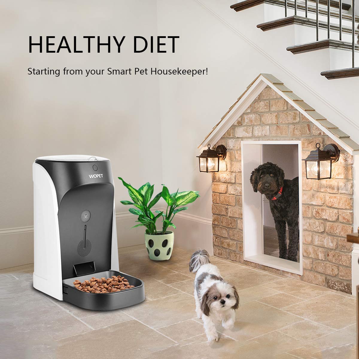 Mua Wopet Automatic Cat Feeder Pet Feeder Auto Dog Cat Feeder Portion Control Voice Recording Timer Programmable Up To 4 Meals A Day Tren Amazon Má»¹ Chinh Hang 2020 Fado