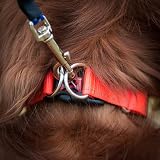 EzyDog Double Up Dog Collar Reflective Pink Medium with ID Tag D-Ring view 6