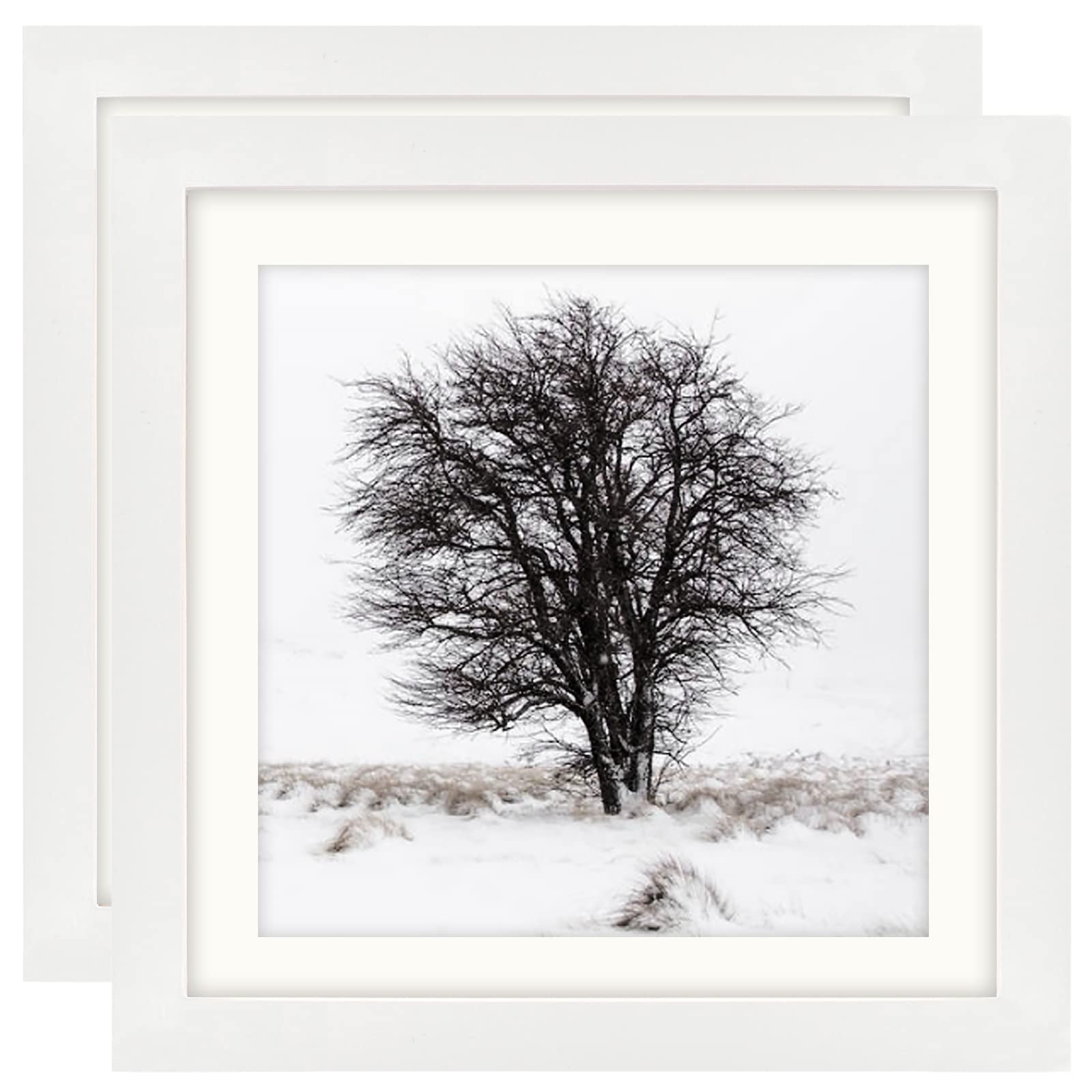White 10x10 Photo Frames with Mount for 8x8 Photos, 100% Classic Solid Wood Square Picture Frames for Wall Mounting and Tabletop Display, 2 Pack