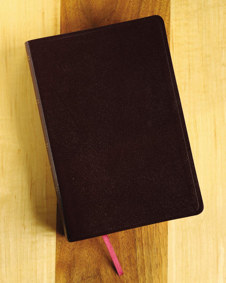 Amplified Holy Bible, Large Print, Bonded Leather, Burgundy: Captures the Full Meaning Behind the Original Greek and Hebrew Amplified Holy Bible, Large Print, Bonded Leather, Burgundy: Captures the Full Meaning Behind the Original Greek and Hebrew Bonded Leather
