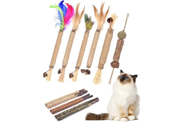 Silvervine Cat Chew Sticks with Natural Feather, 12 Pack Catnip Chew Toys for Kittens Teeth Cleaning, Matatabi Dental Care, I