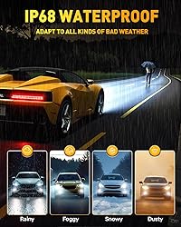 Termitor D2S Bulbs, 36000LM 10X Brighter 6500K Cool