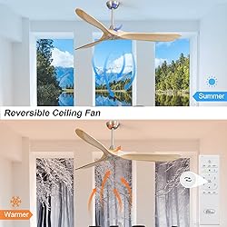 Sofucor 60 Inch Ceiling Fans No Light Modern