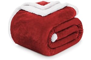 BEAUTEX Sherpa Fleece Throw Blankets, Soft Fluffy Flannel Plush Blanket and Throw, Fuzzy Cozy Red Cuddle Blankets for Couch Bed Sofa Adults (50" x 60", Wine)