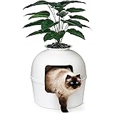 palm tree litter box