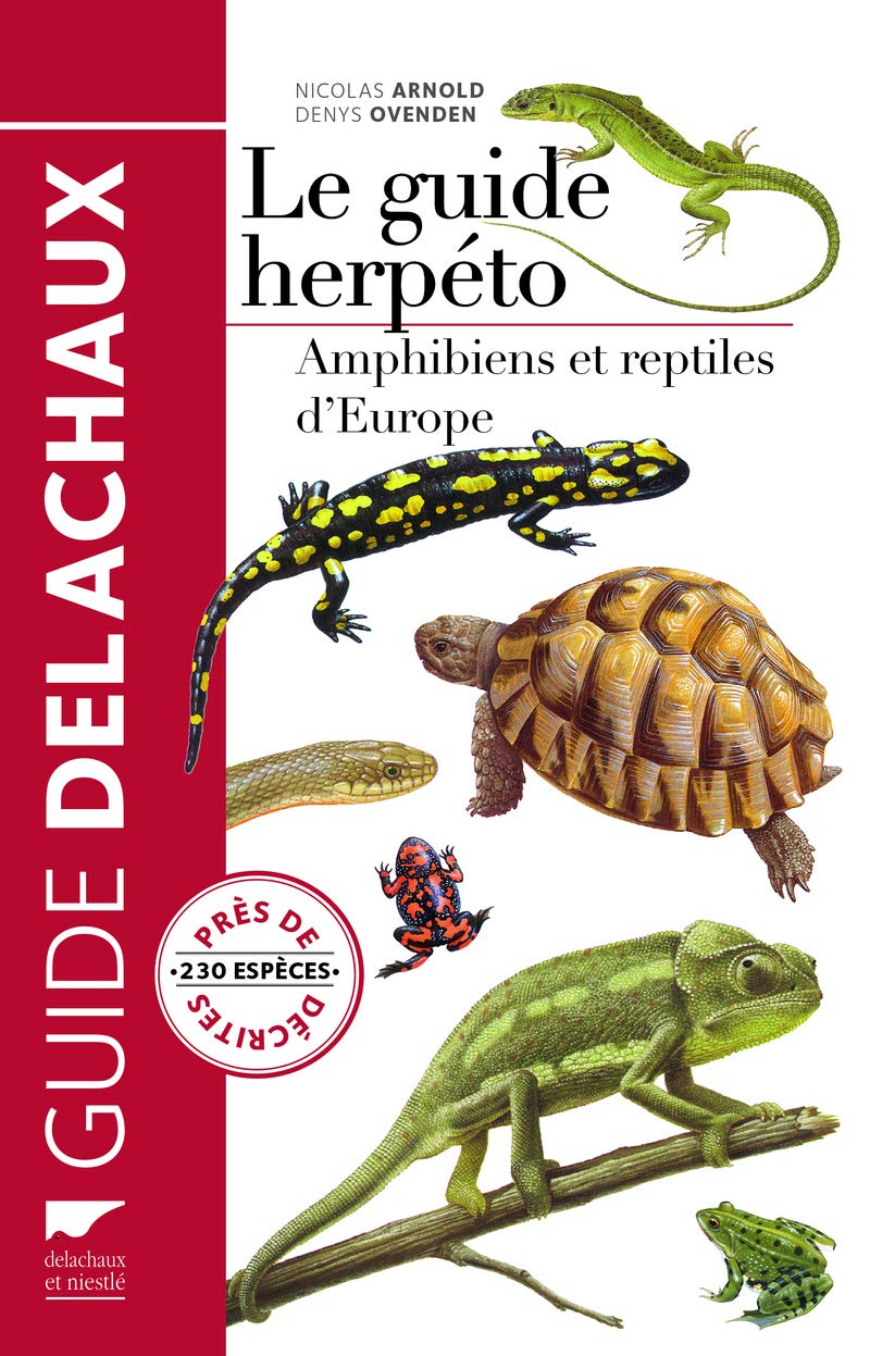 Amazon Fr Le Guide Herpeto Amphibiens Et Reptiles D Europe Arnold Nicholas Ovenden Denys Livres