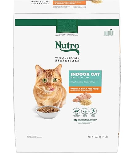 NUTRO Wholesome Essentials Indoor Adult Dry Cat Food