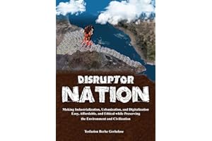 Disruptor Nation: Making Industrialization, Urbanization, and Digitalization Easy, Affordable, and Ethical while Preserving t