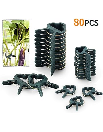 Amazon.es: Soportes para plantas: Jardín