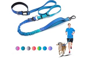 JETOG Heavy Duty Hands Free Dog Leash, 4-6 FT Reflective Adjustable Waist Dog Leash Belt with Padded Handles, Shock Absorbing Bungee and Car Seat Belt for Large Medium Dogs (Gradient Cobalt, L)