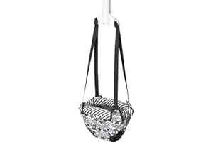Evenflo Doorway Jumper (Star Power)