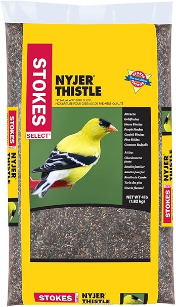 Amazon Com Stokes Nyjer Thistle Select Bird Seed Bag 4 Lb