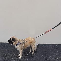 Max and Neo Leash Sleeves DO NOT PET - We Donate 1