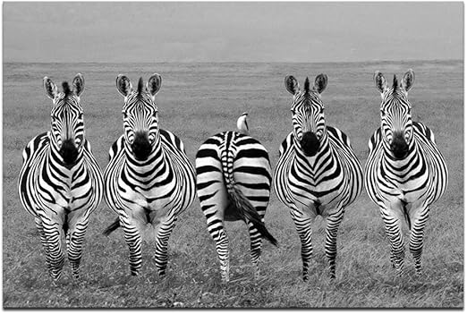 Amazon Com Sea Charm Animal Canvas Wall Art Black And White