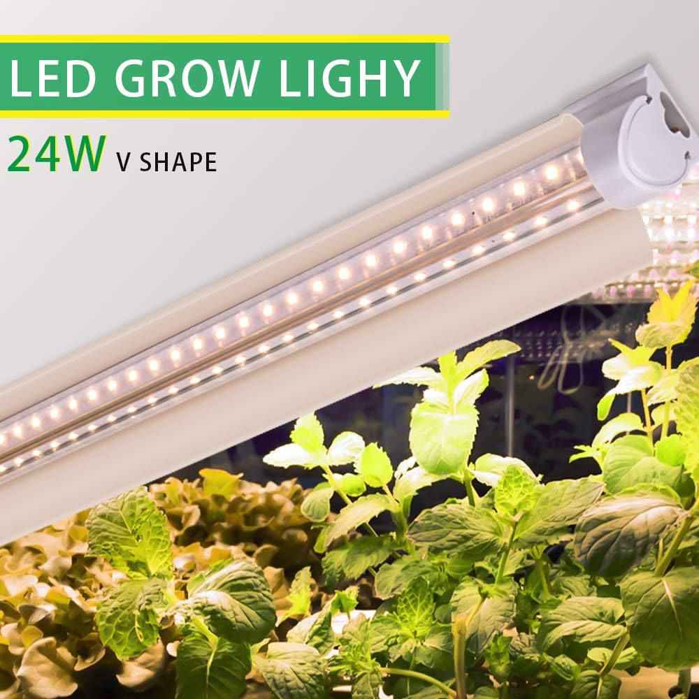 Growing Vegetables Indoors with Grow Lights InDepth Guide Today's