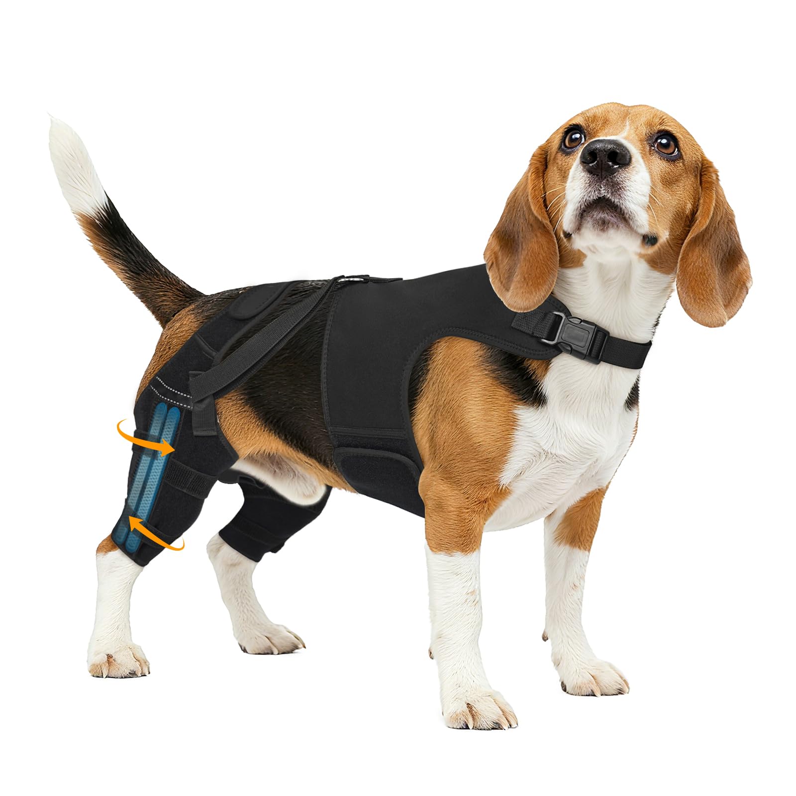 Photo 1 of Marnonsis Dog Knee Braces for Back Leg, Adjustable ACL Brace for Dogs with 4 Stabilizers, Hip Support to Reduces Pain, Ligament Injuries & Luxating Patella for Small Medium Large Dogs
