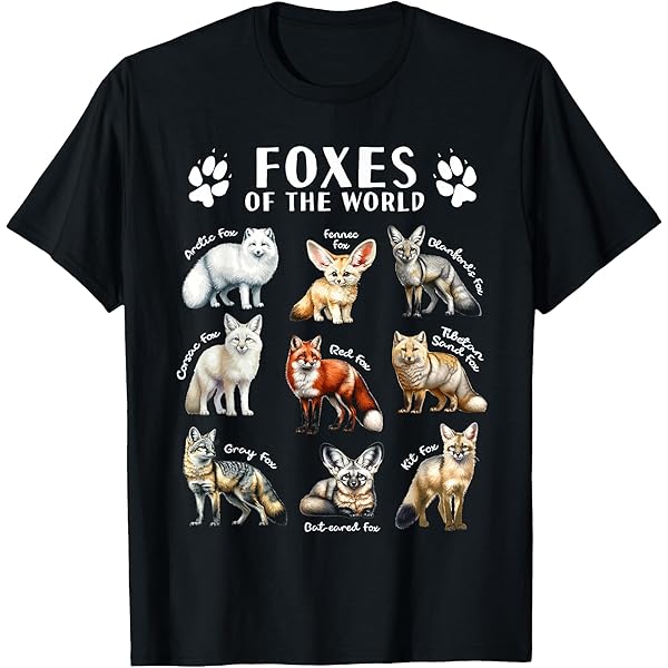 パトゥ　ビッグキャットTシャツ PATOU BIG CAT T-SHIRT Amazon.com: Wild Cats of the World Educational Animal Big Cat