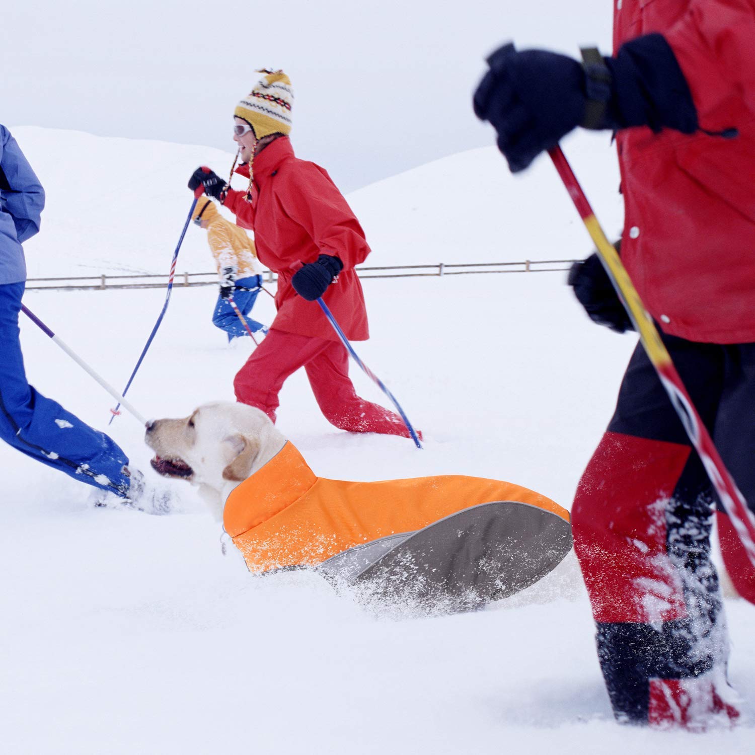 Clan_X Outdoors Dog Coat, Waterproof & Durable Warm Jacket Applied for All Year Around，Available Sizes in XS, S, M, L, XL, XXL.(XS, Orange)