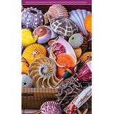 Springbok Seashells Bridge Tally Sheets Score Pad for Card Games | Beautiful tally sheets help track Bridge, Canasta, and other card games with elegant seashell artwork and easy scorekeeping.