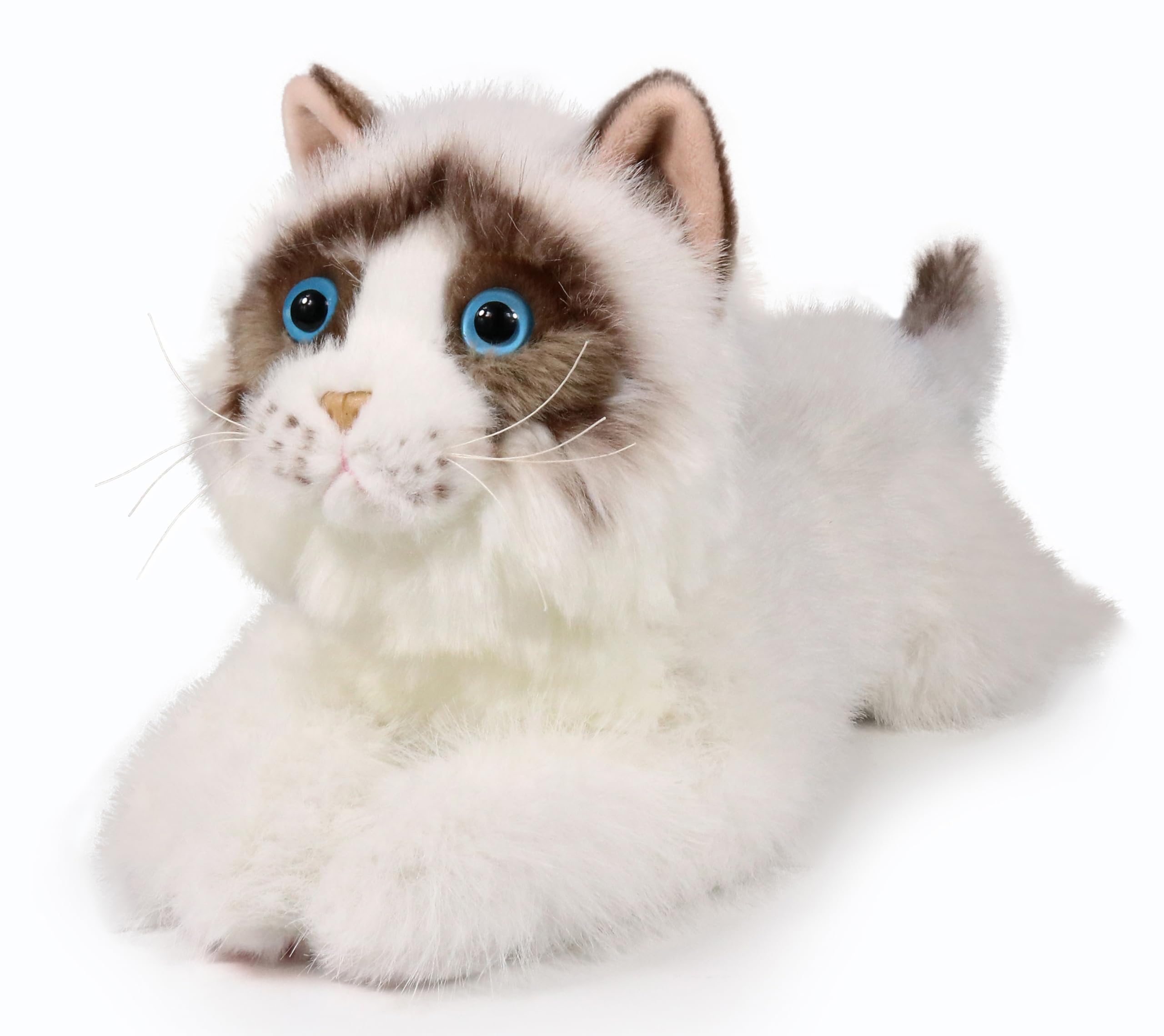 ICE KING BEAR 16 Inches Weighted Cat Soft Toy 1.2Kg Plush Large Stuffed Animal (Ragdoll Cat)
