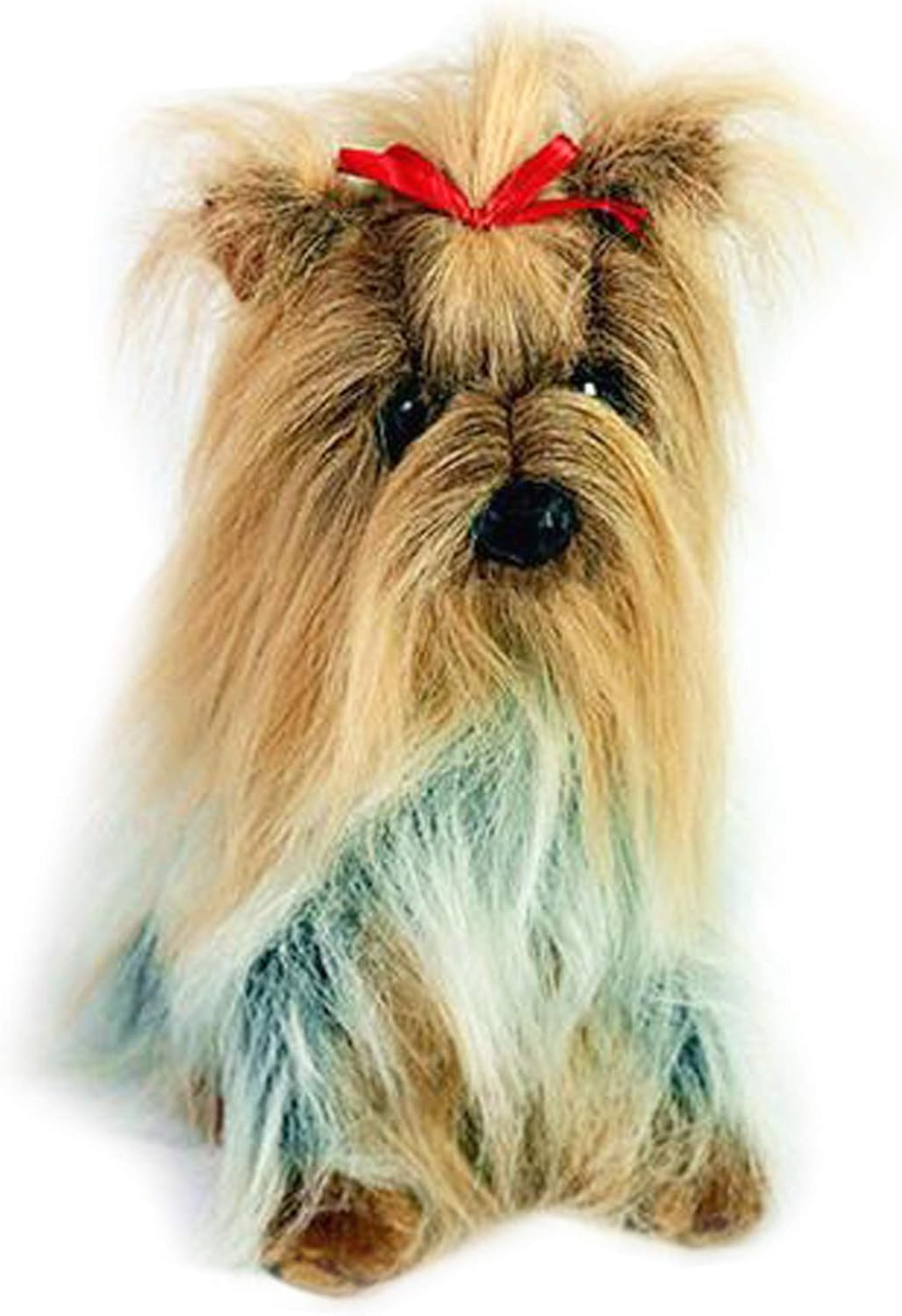 long haired yorkie
