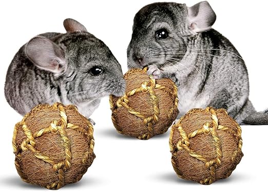 chinchilla ball