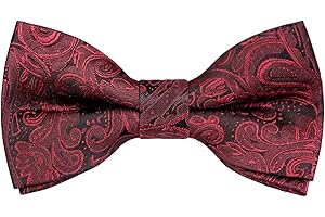 Alizeal Boys Adjustable Fashion Paisley Floral Strapped Pre-tied Kids Bow Tie