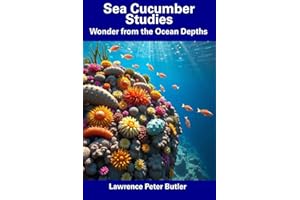 Sea Cucumber Studies: Wonder from the Ocean Depths