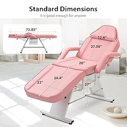 Jaxilyn Tattoo Chair Facial Bed with Two Trays