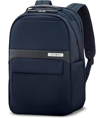 Amazon.com: Samsonite GuardIT, Blue (Blue), 17.3