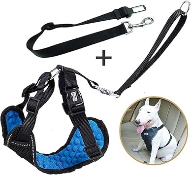dog harness and seat belt for car