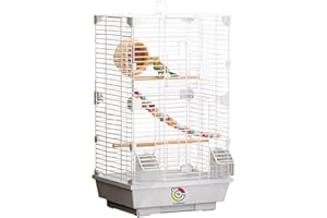 Craftsboys Basic Bird Cage, 24.8inch Parrot Cage (24.8" x 14.6" x 11"),Bird Cage with 1 Ladder, 1 Horizontal Bar, 2 Feeders, 