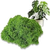 FSZNKJ Artificial Moss 17.63oz – Fake Green Moss for Crafts, Potted Plants, Fairy Garden Decor, DIY Table Centerpieces, Wedding Party Decoration