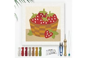 Doodlream Strawberries DIY Punch Needle Embroidery Kit for Adult Beginner, 9.4" A Basket of Strawberries Punch Stitching Craf