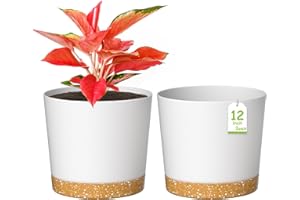 ZMTECH Plant Pots, 12'' Self Watering Plastic Planter with Drainage Hole and Saucer, Modern Decorative Flower Pot for Indoor 