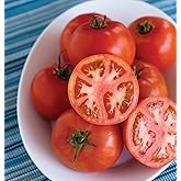 Burpee Early Pick VF Hybrid Tomato Seeds &ndash; Red Beefsteak Slicing Tomatoes for Vegetable Gardens, 50 Non-GMO Seeds