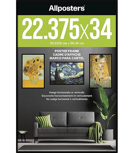 Amazon.com - Poster Frame - Black (22.375