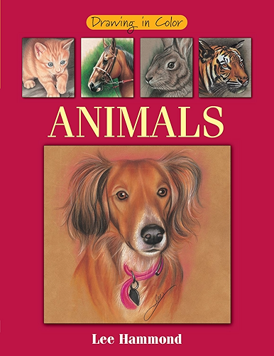 Download Drawing in Color - Animals (English Edition) PDF