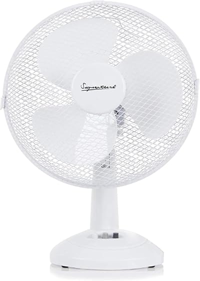 Signature 9in 2 Speed Desk Fan with Oscillation Adjustable Tilt White S40008