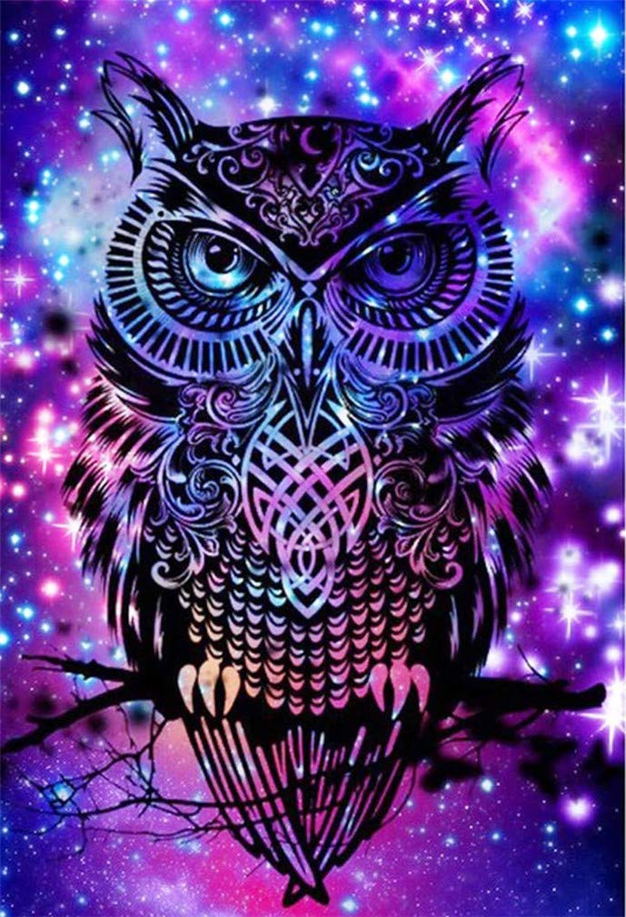 Abillyn Embroidery Cross Stitch Kits Owl Silhouette, Psychedelic Starry Stars Sky Stamped with Printed Pattern Starter Kit (Owl)