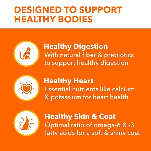 IAMS PROACTIVE HEALTH ADULT HEALTHY DRY CAT FOOD WITH SALMON, 7 LB. BAG