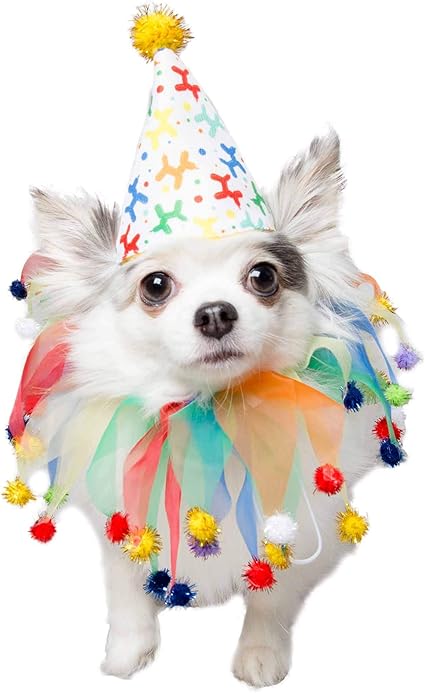 Dogs 1st birthday hat Clearance